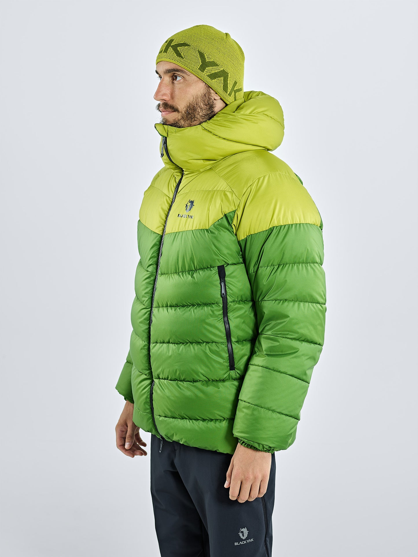 Golden Lime 4