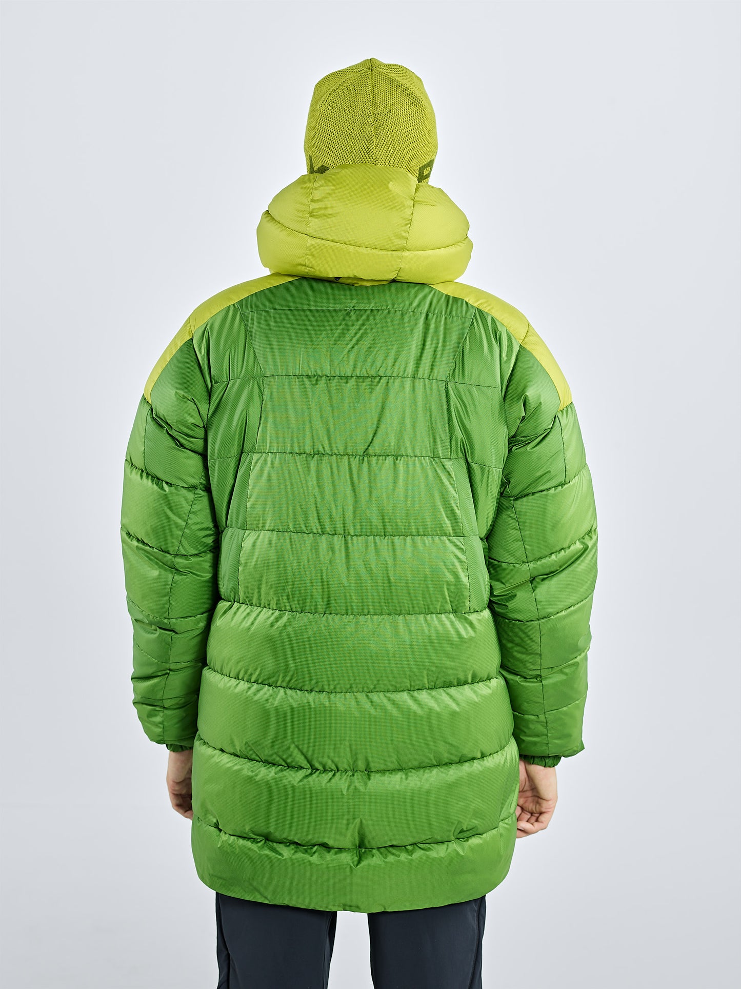 Golden Lime 7
