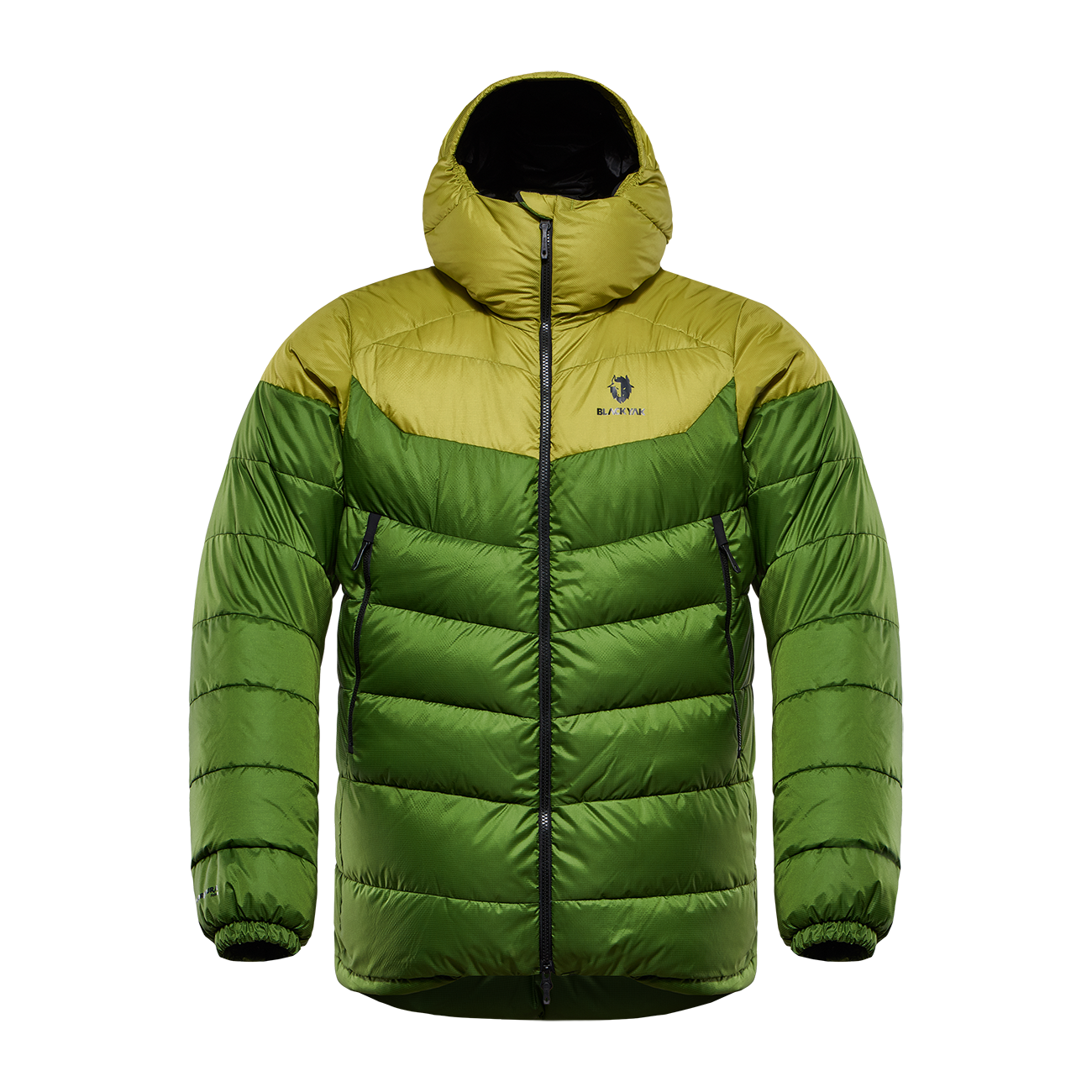 Golden Lime 1