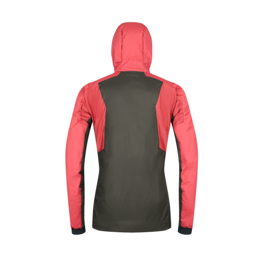 Garnet Rose 2
