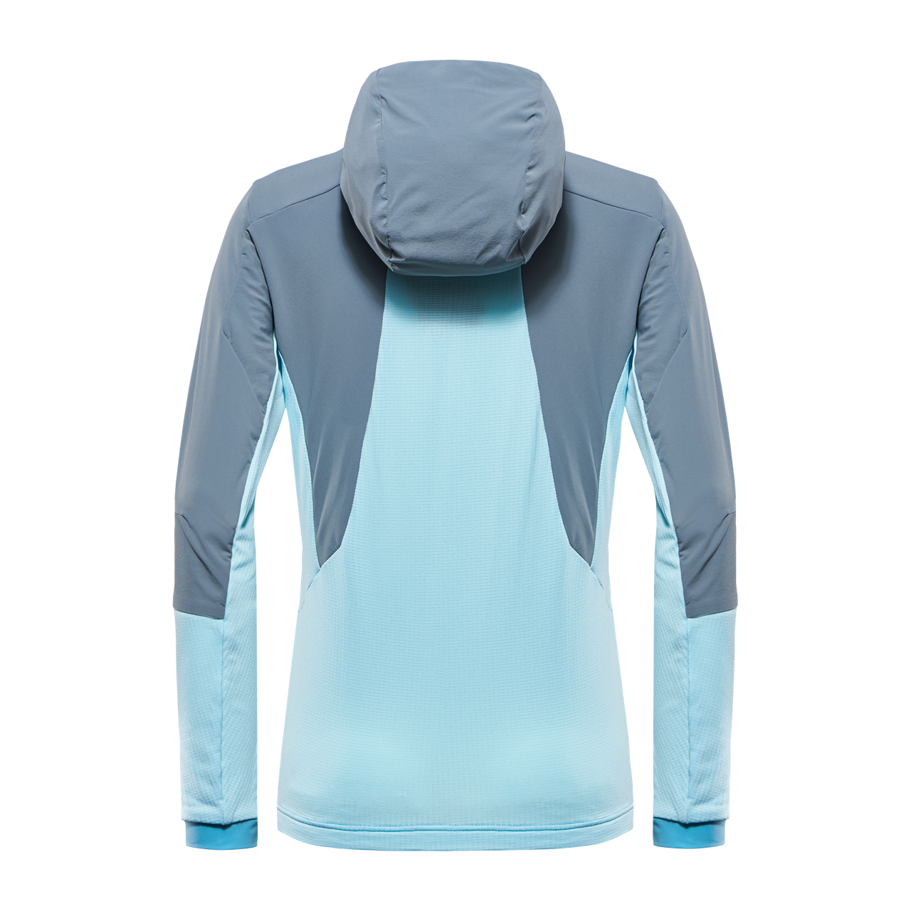 Tanager Turquoise 2