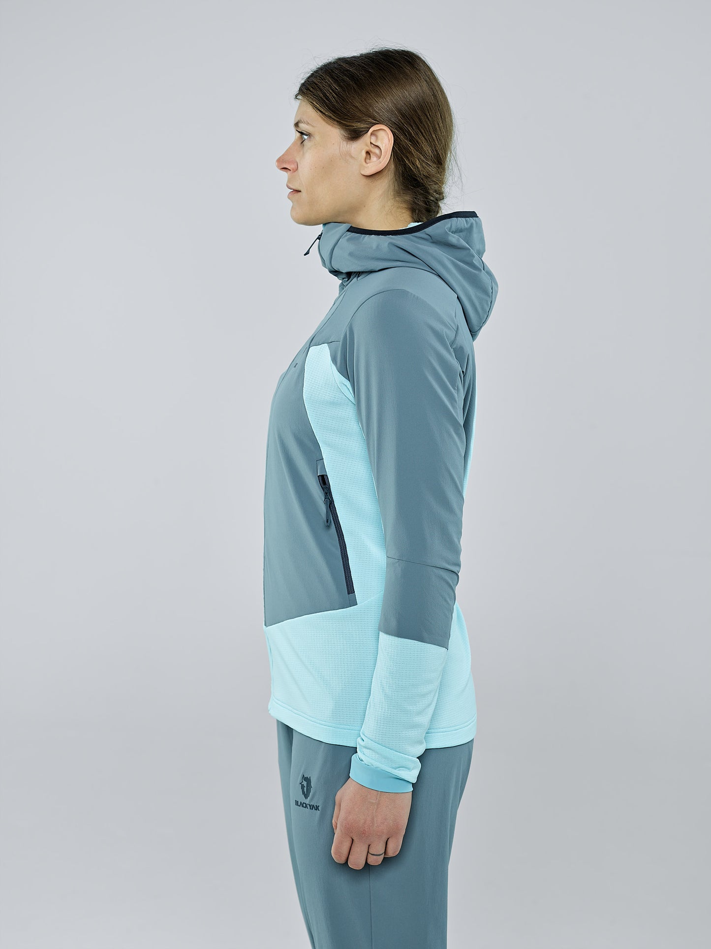 Tanager Turquoise 5