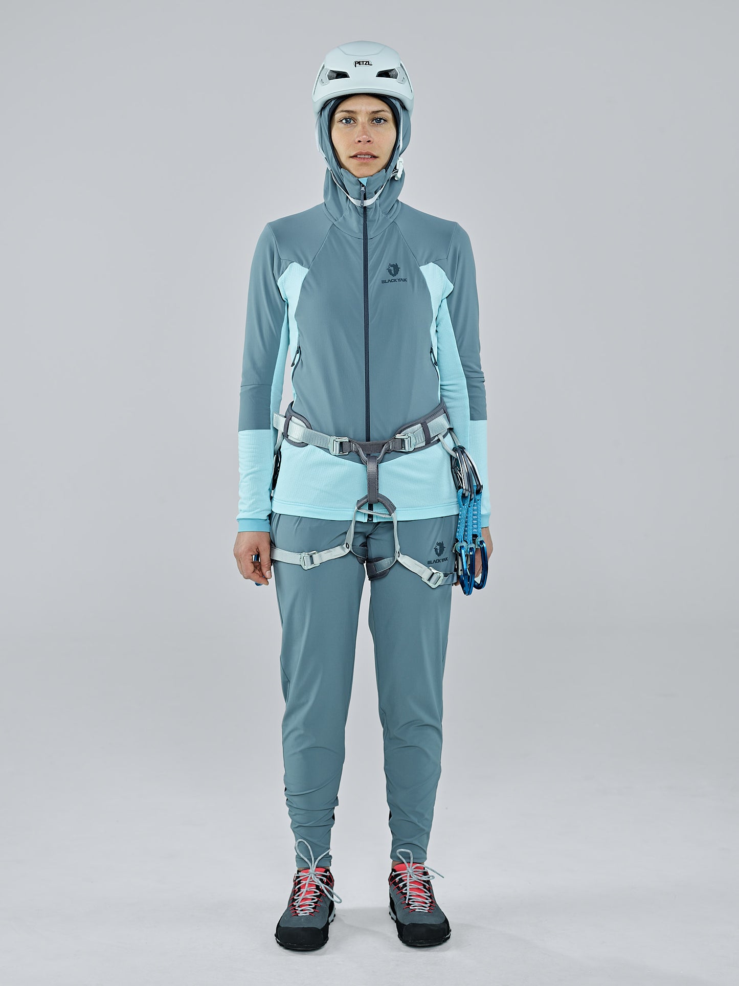 Tanager Turquoise 7