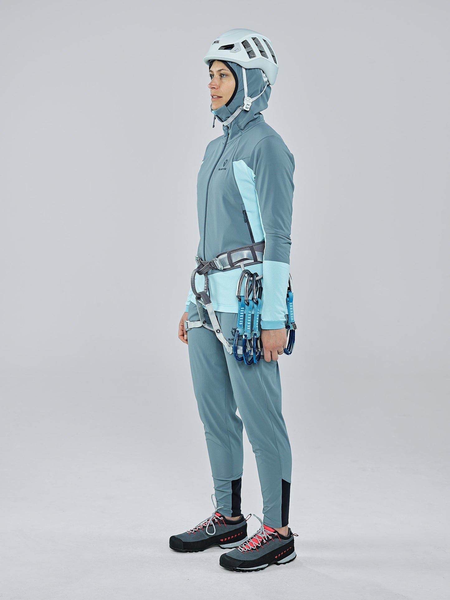 Tanager Turquoise 8