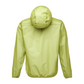 Lime 2