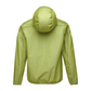 Lime 2