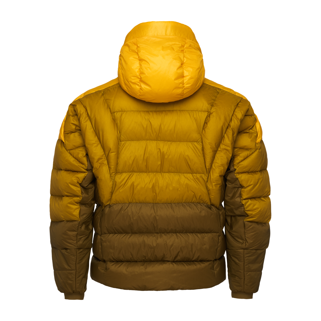 Lemon 2