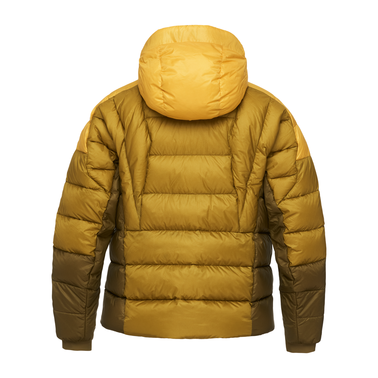 Lemon 2