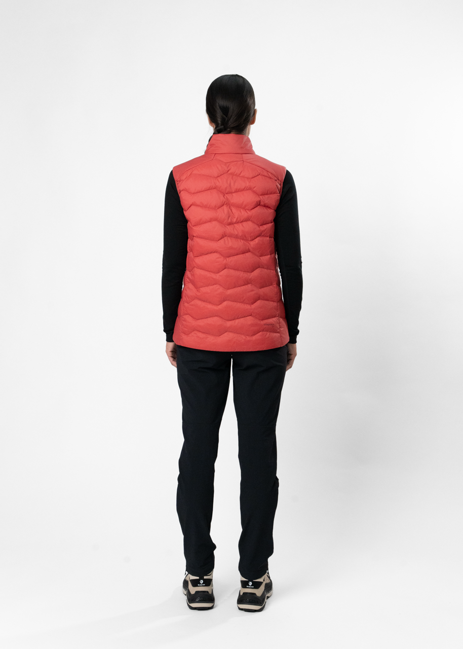 Garnet Rose 6
